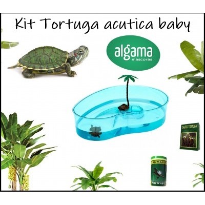 Kit tortuga baby